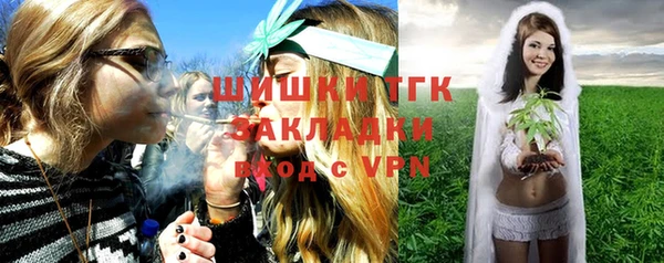 мет Алексин
