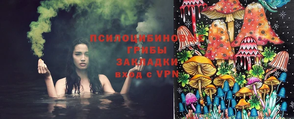 мет Алексин