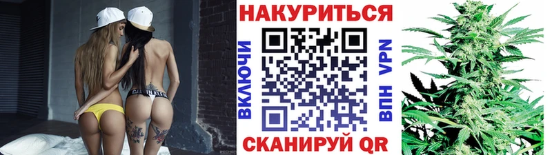 Канабис сатива  Морозовск 
